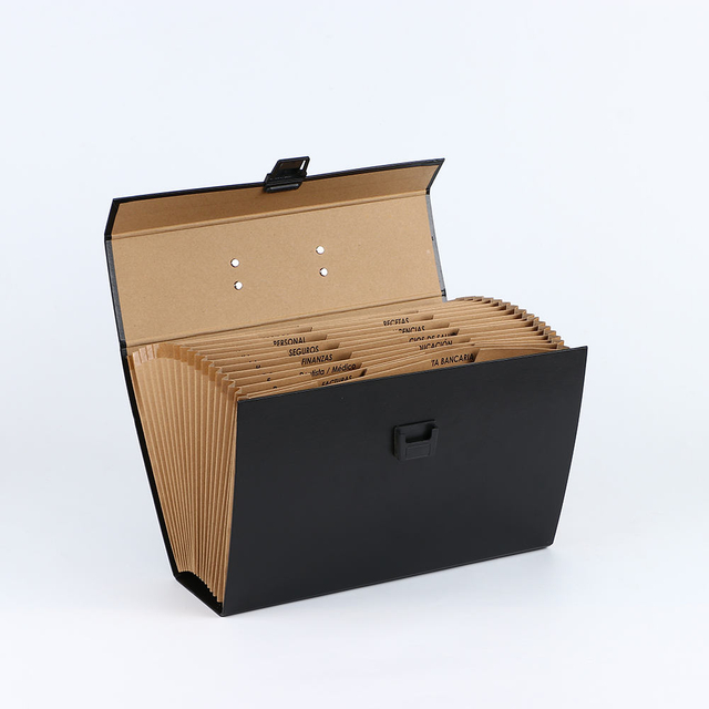 OEM Custom Logo 19-Pocket A4 توسيع نطاق الملف مربع ملف تعامل مع منظم الوثيقة المنظم لشركة Office School Bag Folder Bag