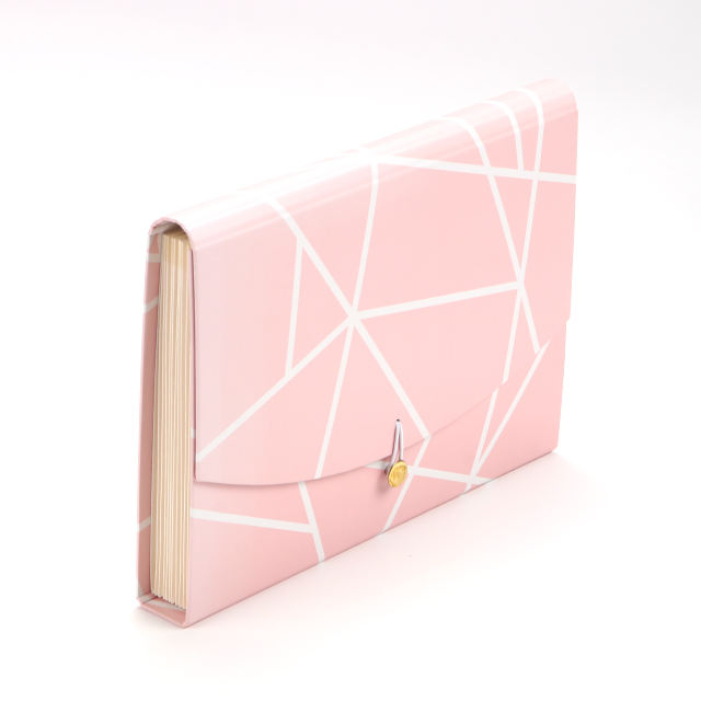 Wholesale OEM Custom Logo A4 Cardboard Document Organizer Folder Folder Folder Vistract