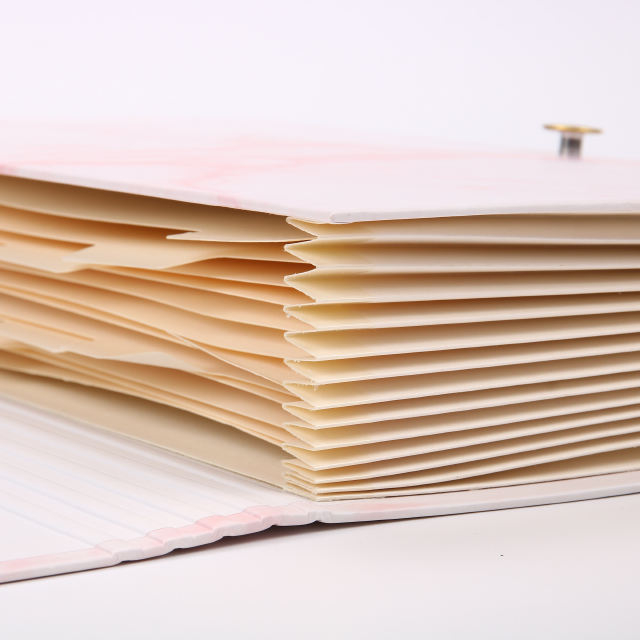 شعار مخصص A4 حجم من منظم المستندات من الورق المقوى توسيع مجلد الملفات