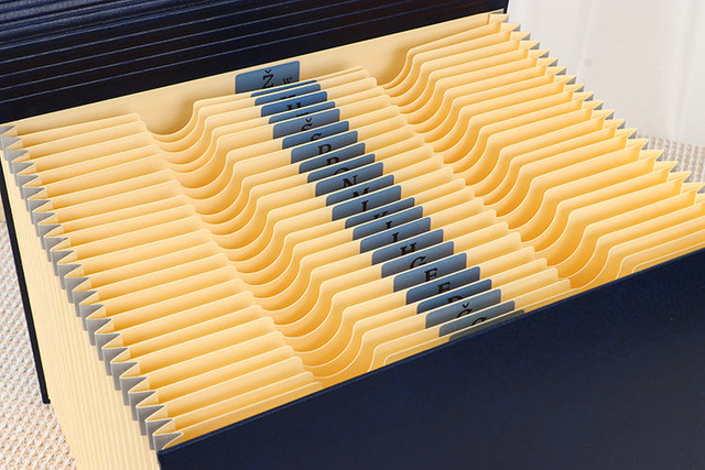 OEM 24-POCKED FOCK FILE FOLDER A4 PU COVER HARD CARTBOARD BUNGEE CLOSURE RECYLIPLE DESICUMES