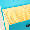 OEM Custom Logo 19-Pocket A4 Adsivanding Cordion مربع ملفات مع مقبض مستندات منظم شركة Office Office Use School